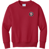 Westchester Express Youth Core Fleece Crewneck Sweatshirt